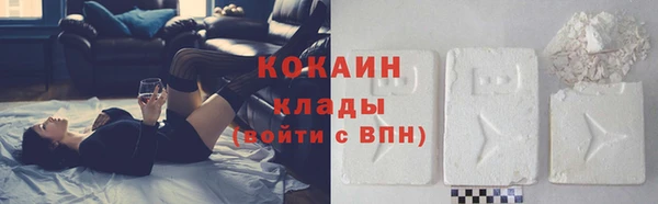 прущие грибы Сосновоборск