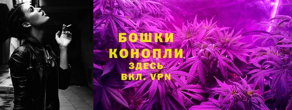ПСИЛОЦИБИНОВЫЕ ГРИБЫ Сосновка