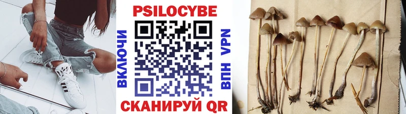 Галлюциногенные грибы Cubensis  Красноуральск 